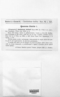 Image Associated With the Occurence